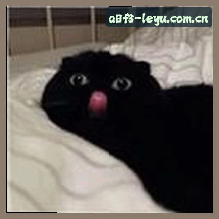 王哥